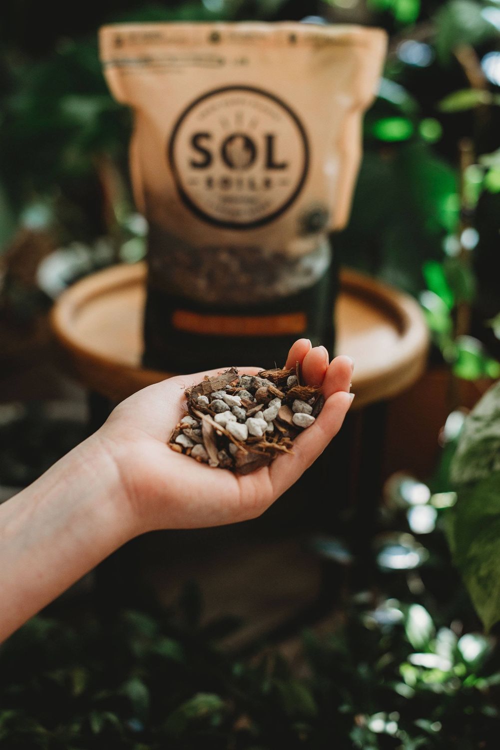 Soil (1Gal) Cactus Gritty Mix (Soilless): 1 Gallon (4 Quarts)