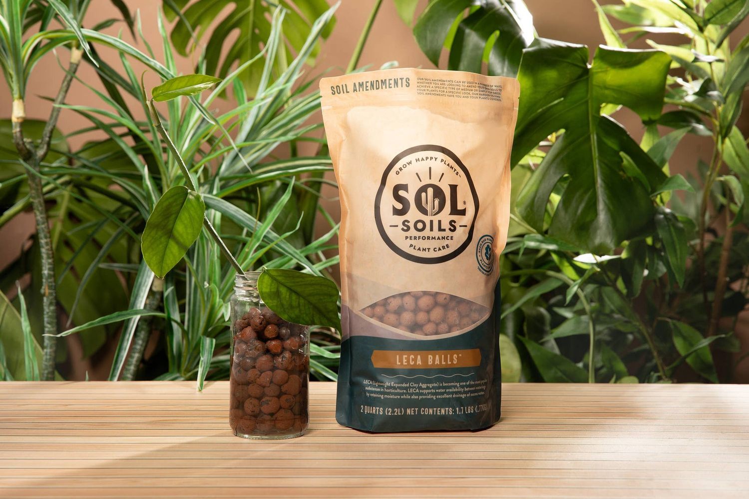 Soil (10Qt) LECA Balls