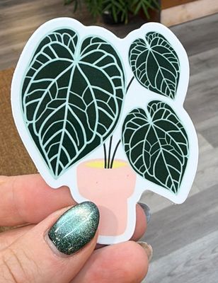 Anthurium Sticker