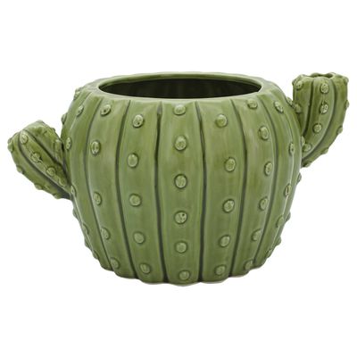 Cactus Flower Pot
