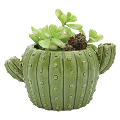 Cactus Flower Pot