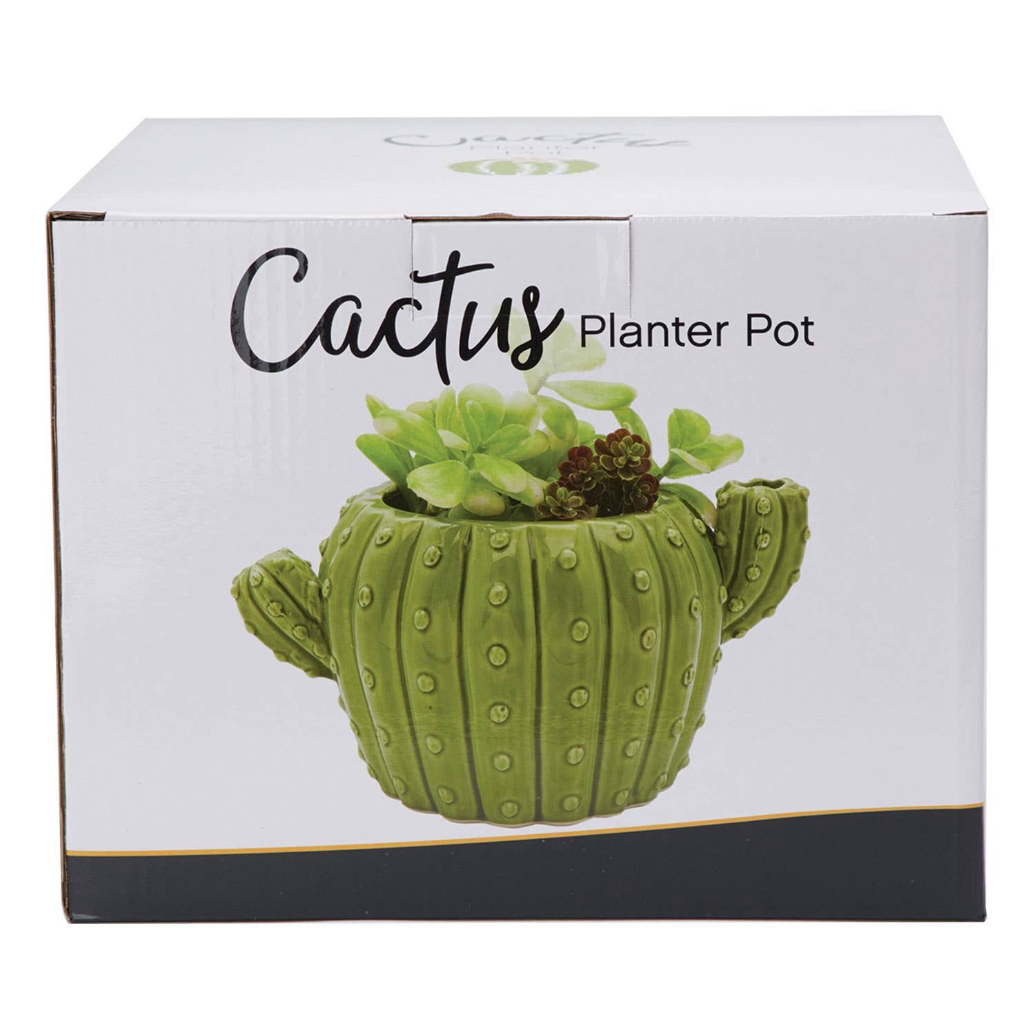 Cactus Flower Pot