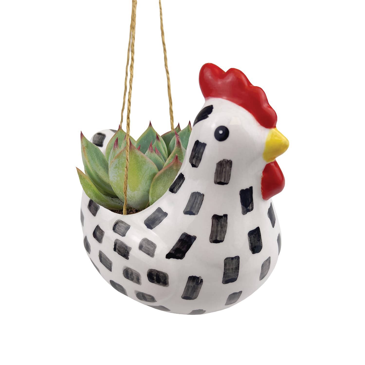 Hen Mini Hanging Planters