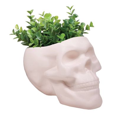 Bone Skull Planter