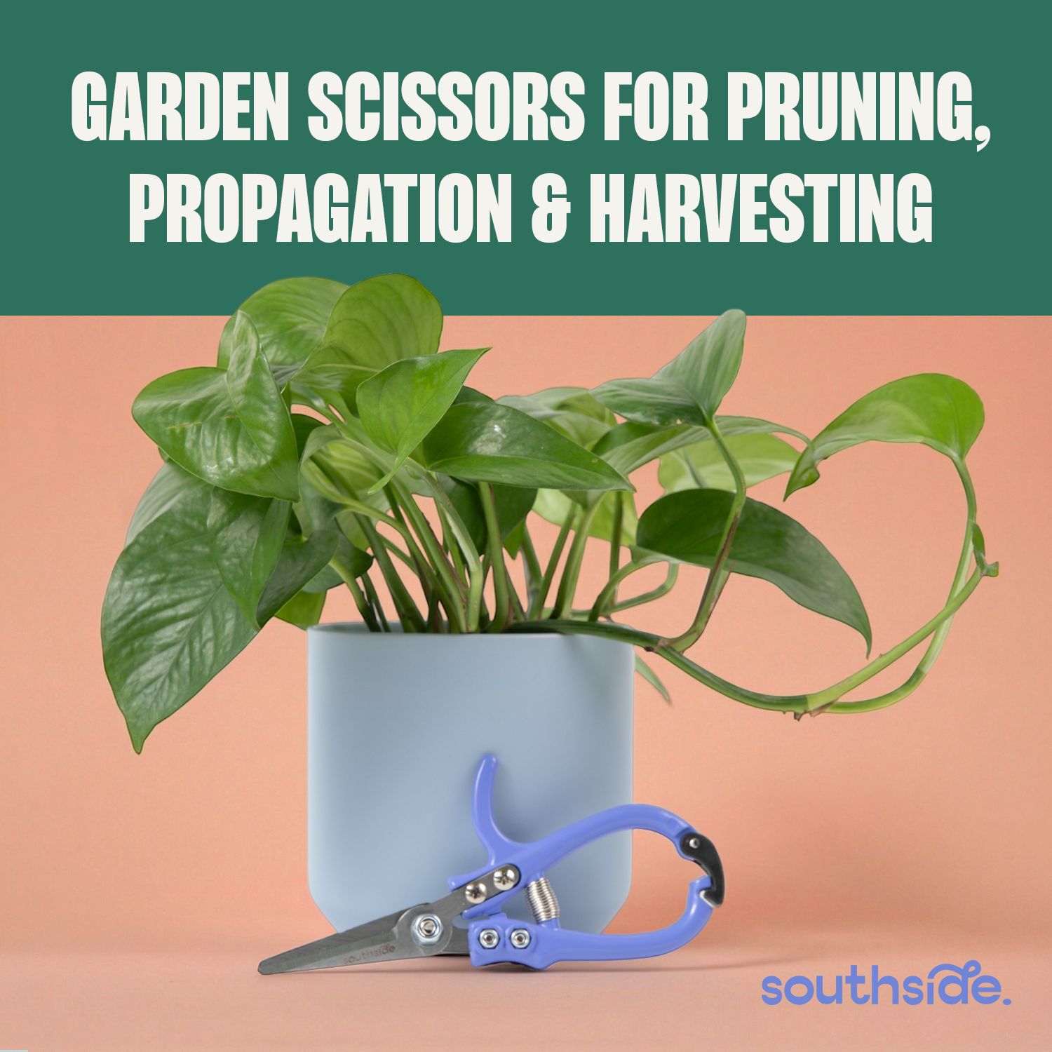 Southside Garden Scissors (Periwinkle)