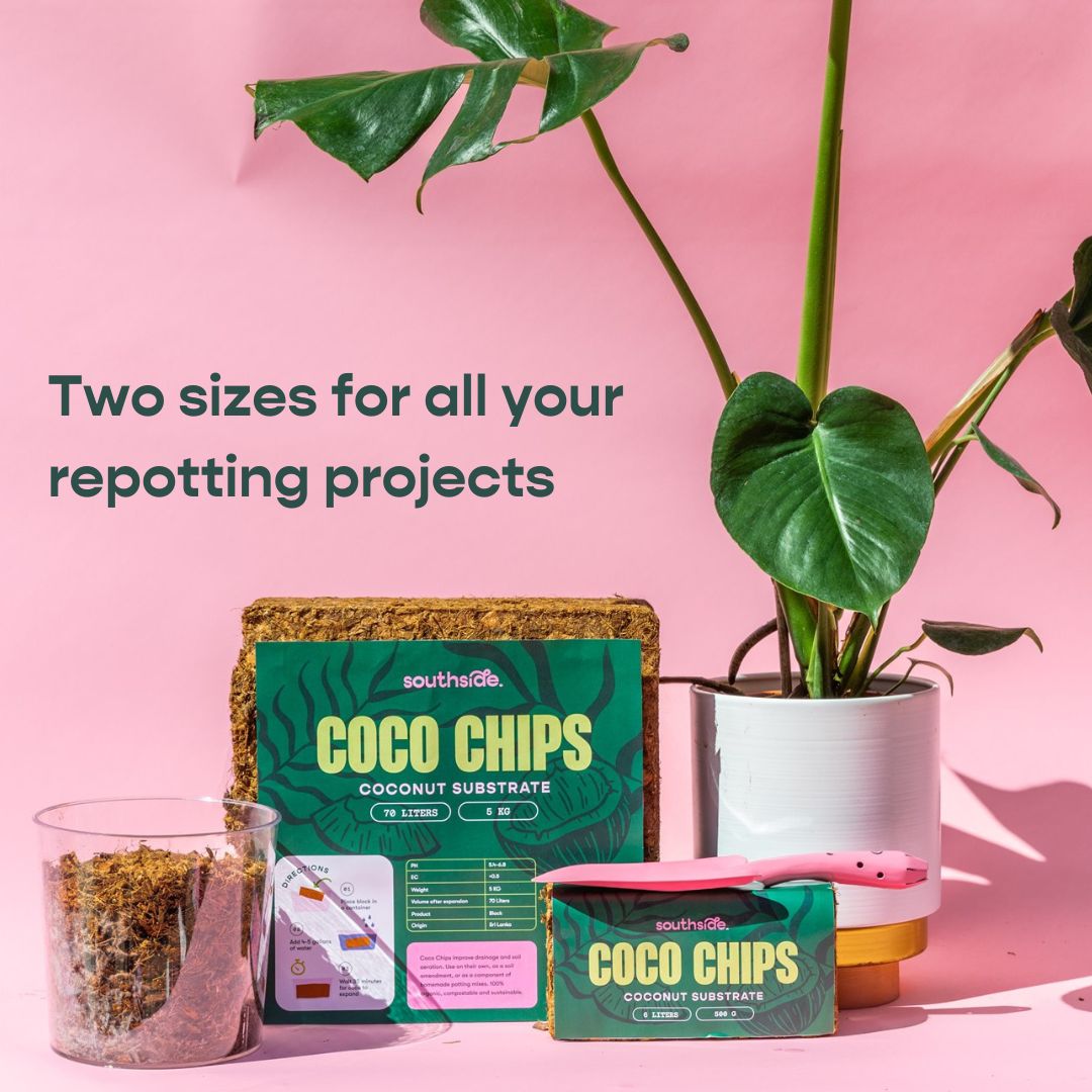 Coco Chip - Chunky Coconut Husk for Houseplant Soil Aeration: 500g