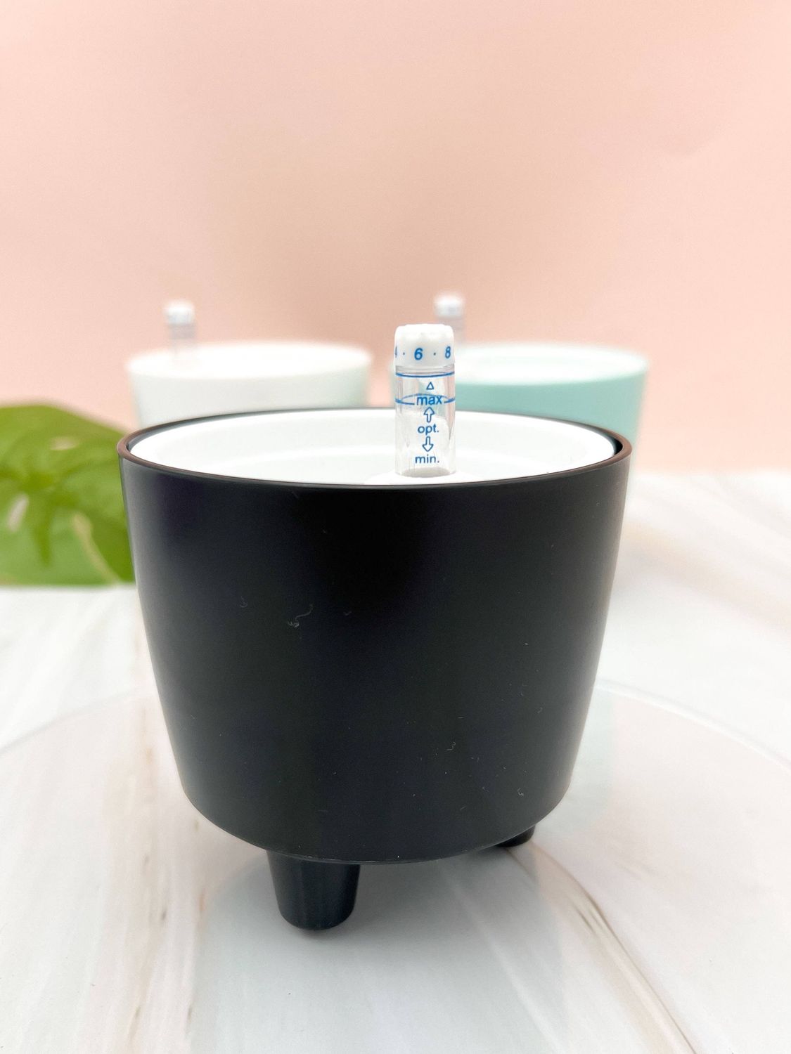 3” Self Watering Moo Pot: Black