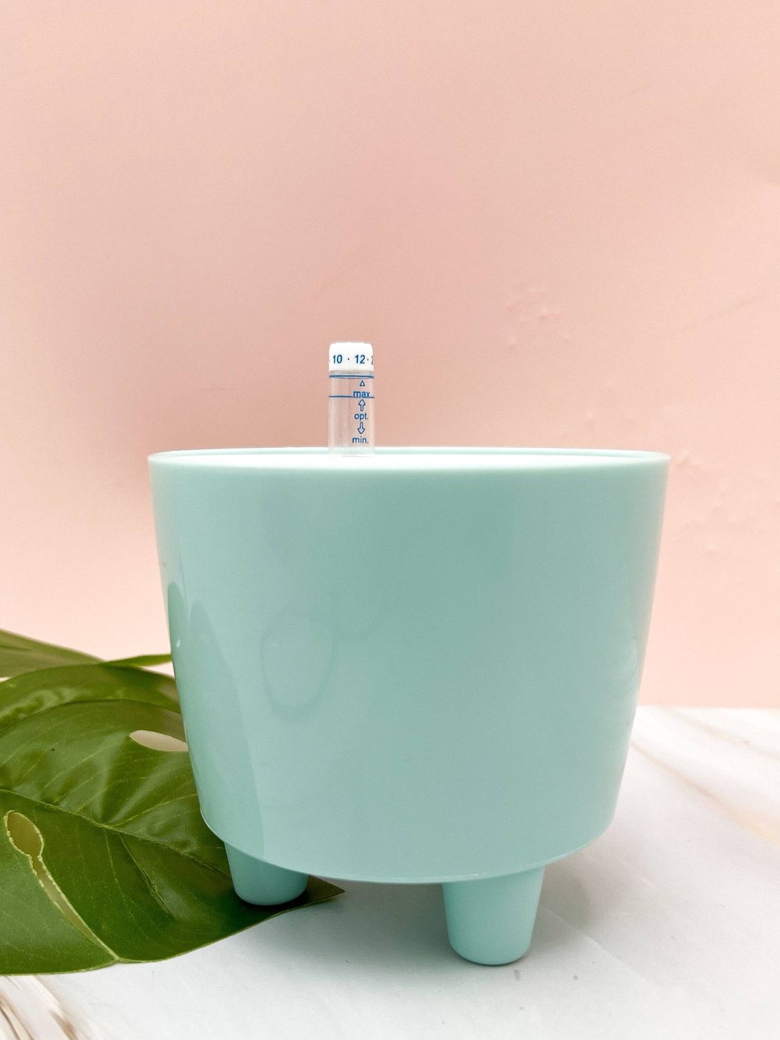 3” Self Watering Moo Pot: Black