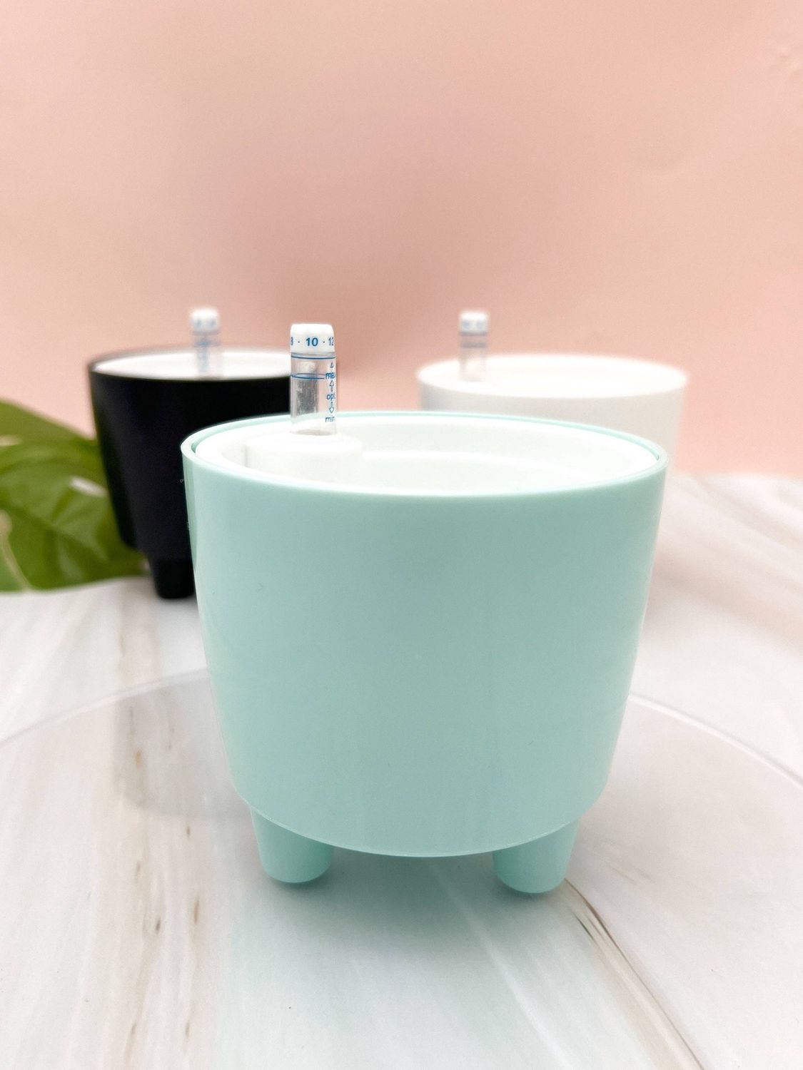 3” Self Watering Moo Pot: Black