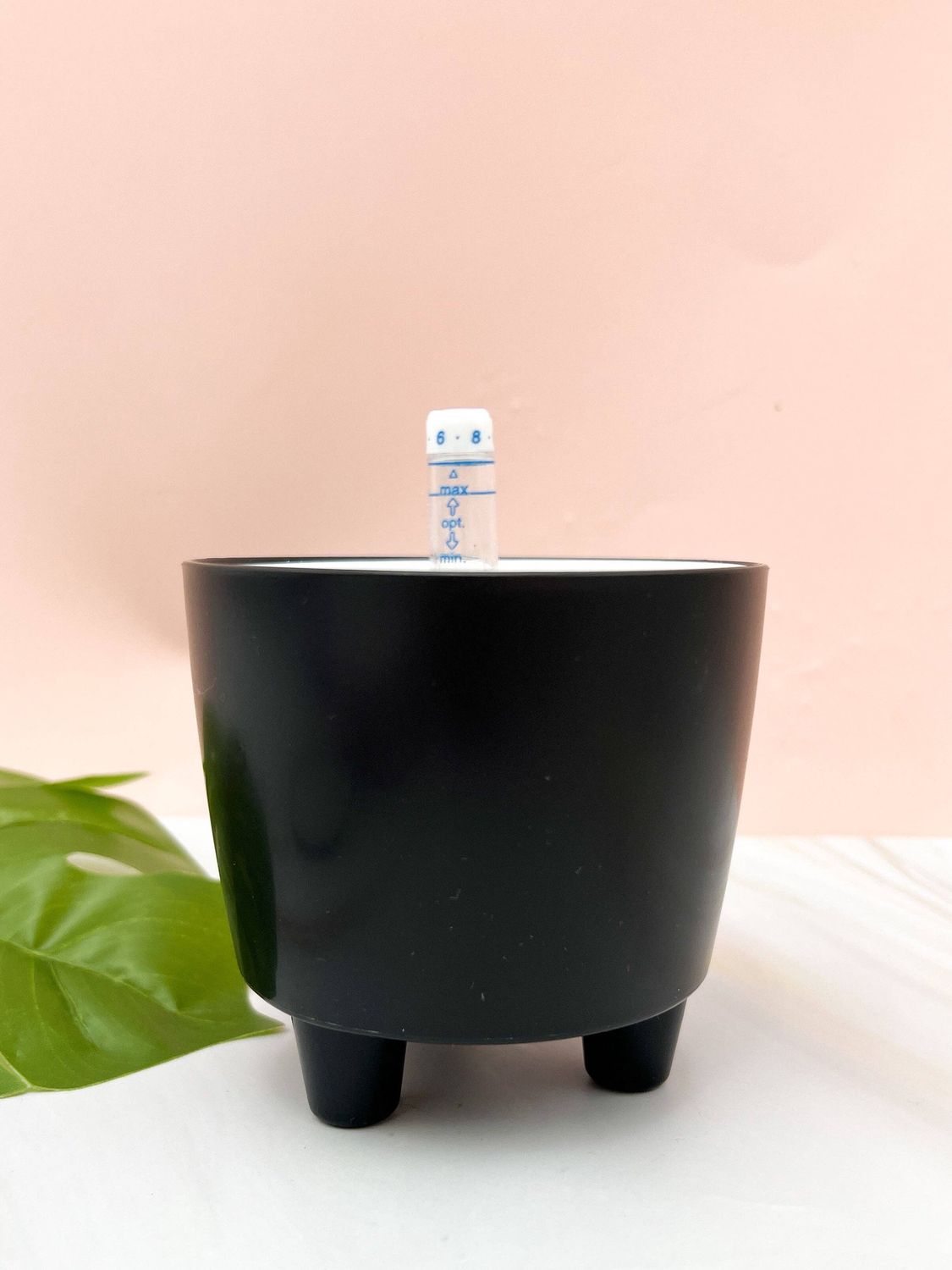 3” Self Watering Moo Pot: White