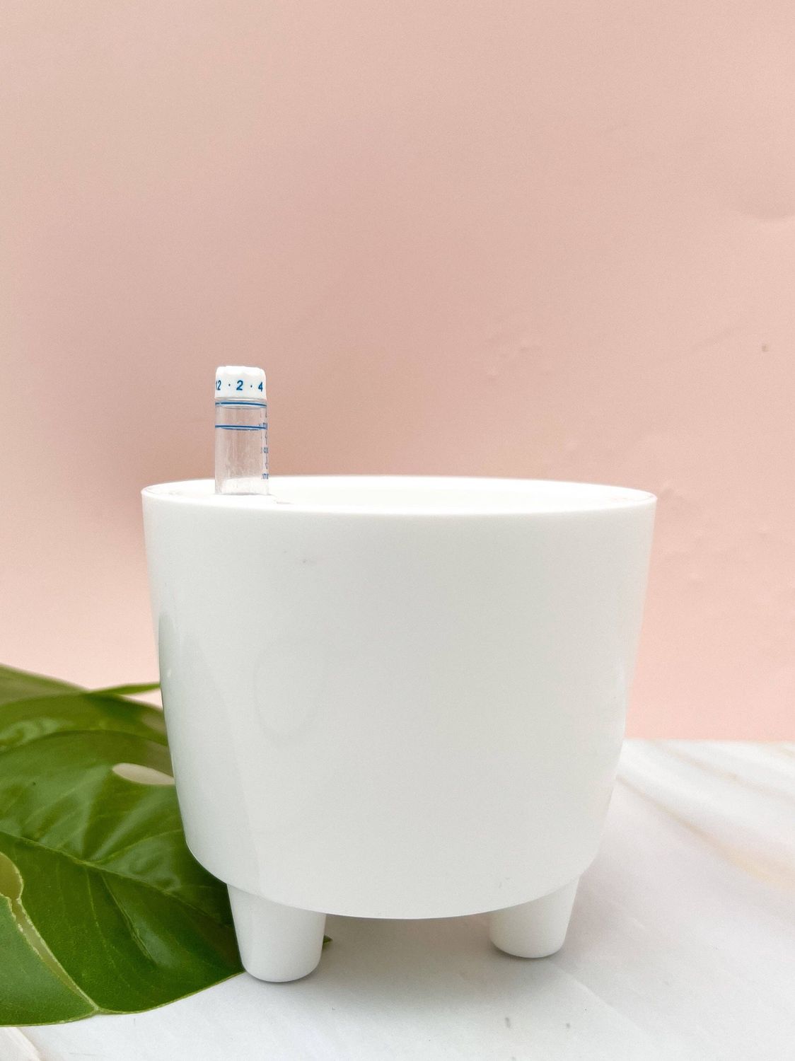 3” Self Watering Moo Pot: White