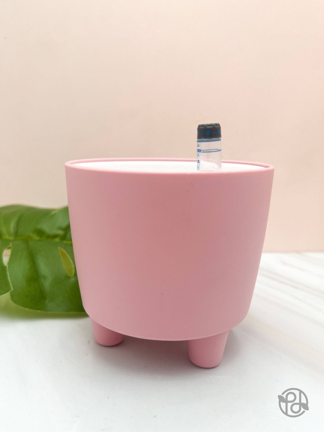 3” Self Watering Moo Pot: White