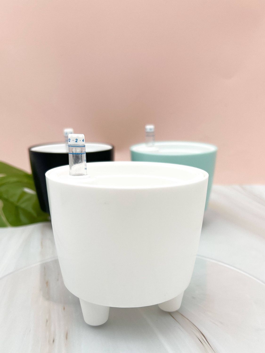 3” Self Watering Moo Pot: White