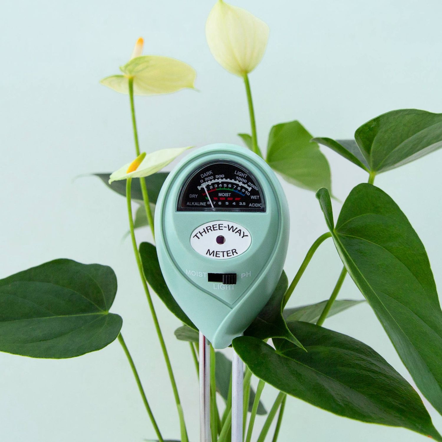 3-in-1 Moisture Meter | Lagoon | Garden Party Box