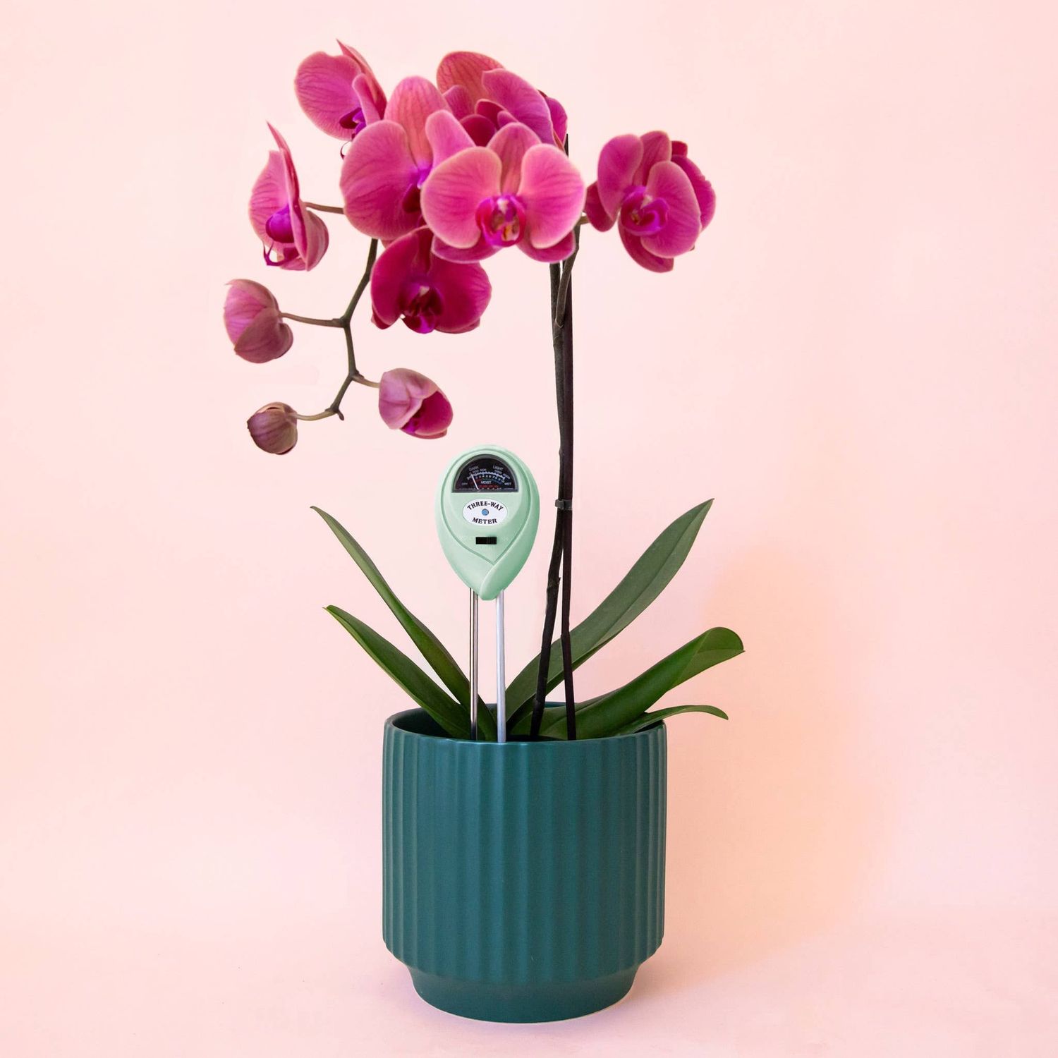 3-in-1 Moisture Meter | Lagoon | Garden Party Box