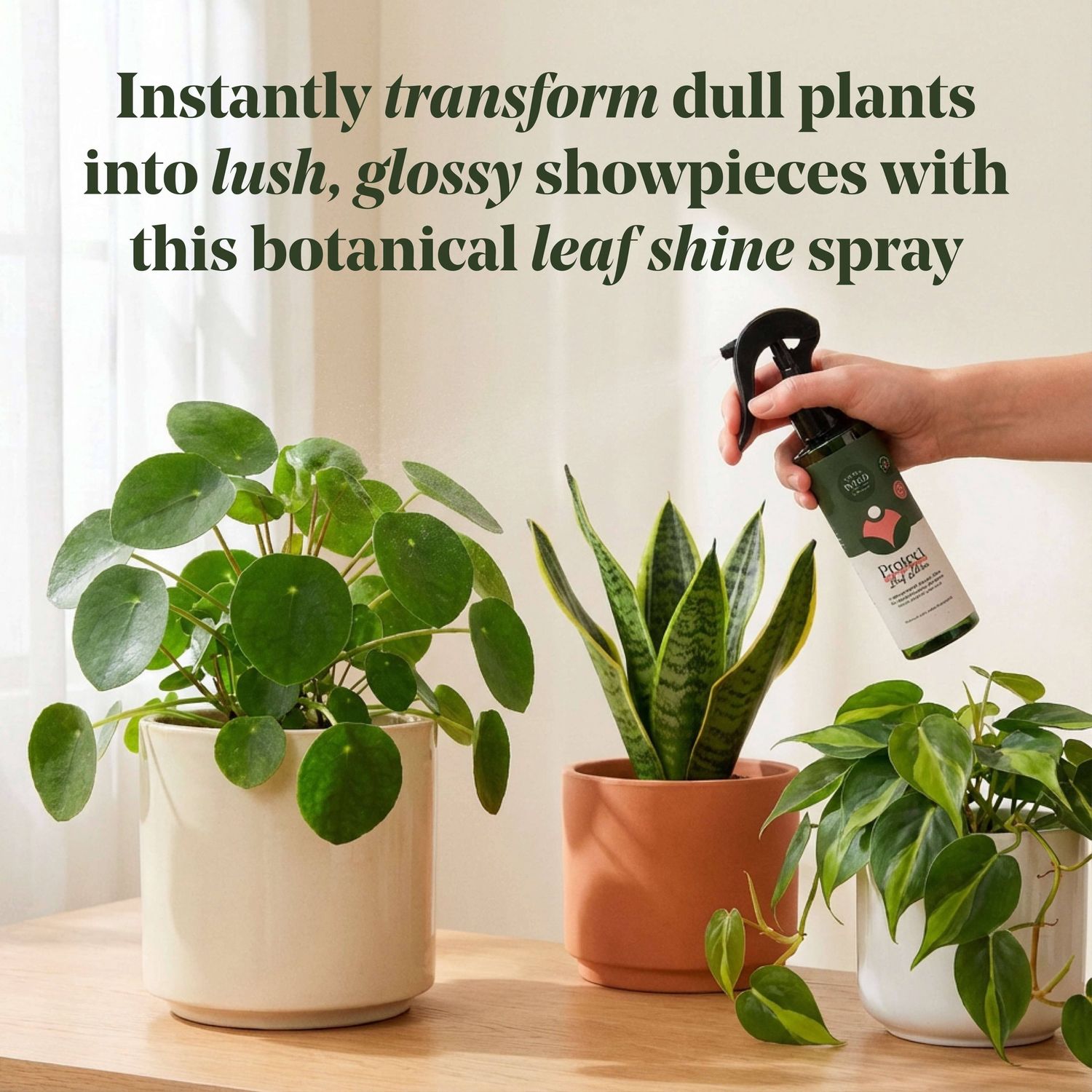 Protect Organic Leaf Spray 16.9 oz