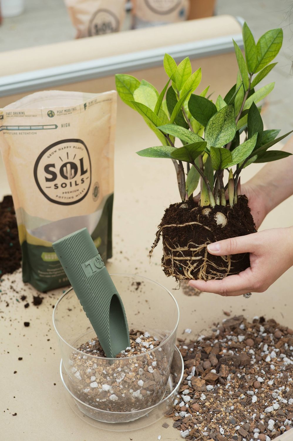 Soil (2Qt) Houseplant Chunky Mix (Aroid/Tropical Soilless): 2 Quarts