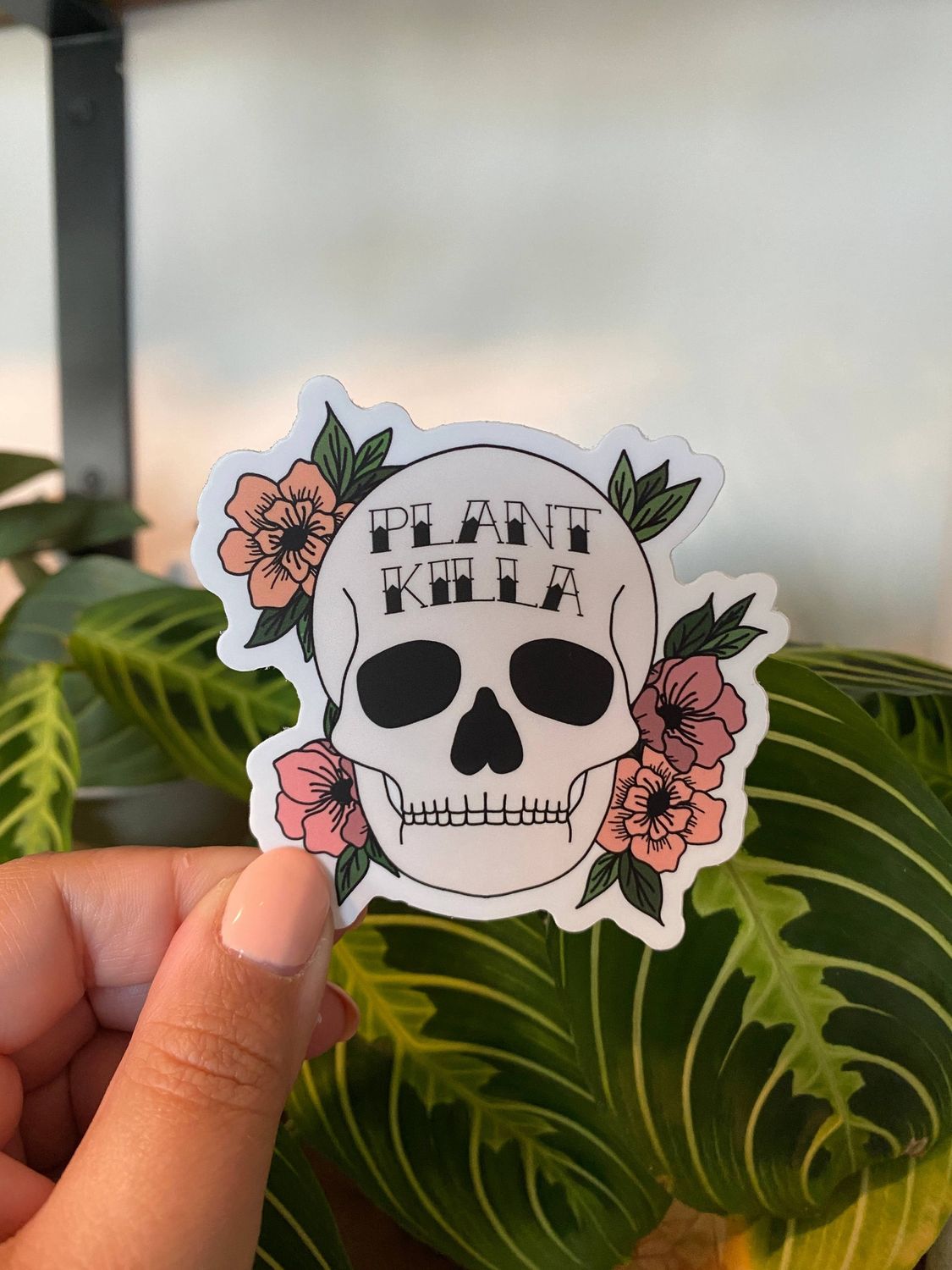Plant Killer Skull Sticker