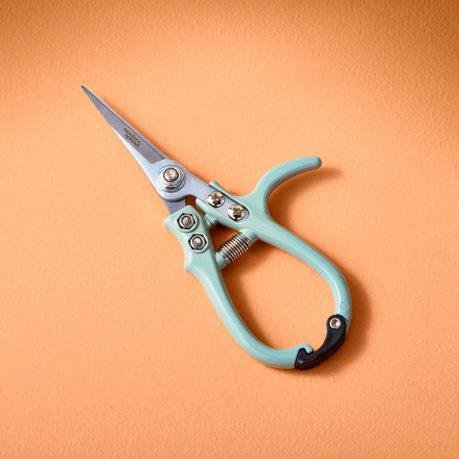 Garden Shears : Chartreuse