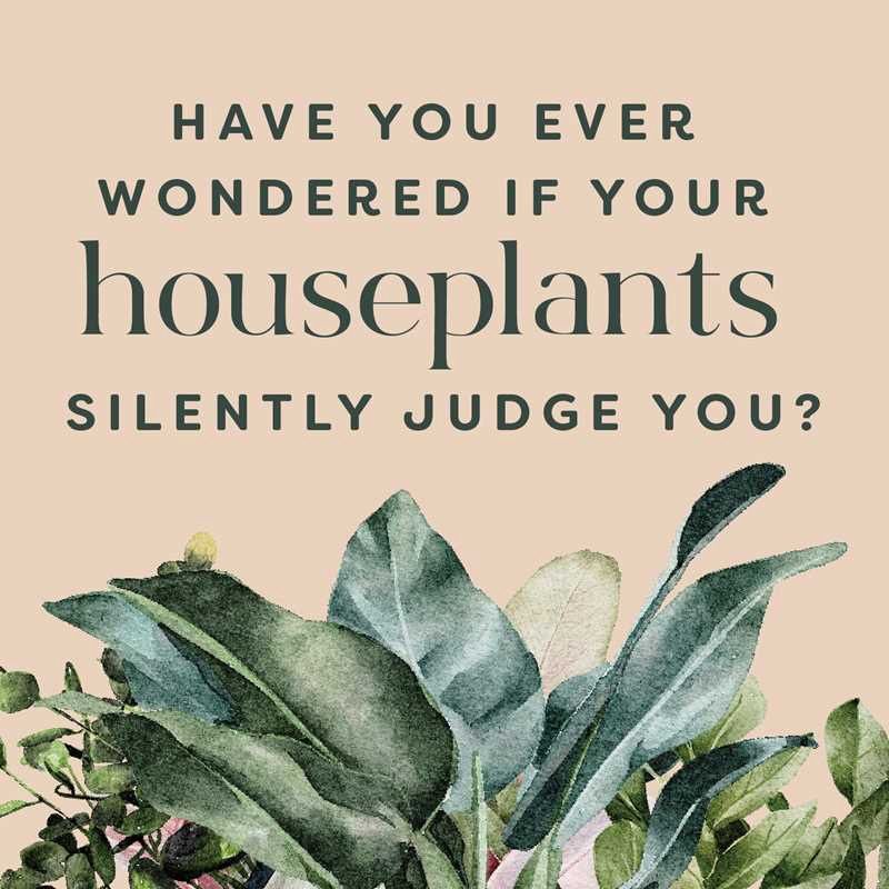 Houseplants and Their Fucked-Up Thoughts by Carlyle Christoff: Hardcover; 96 pages / English(1)