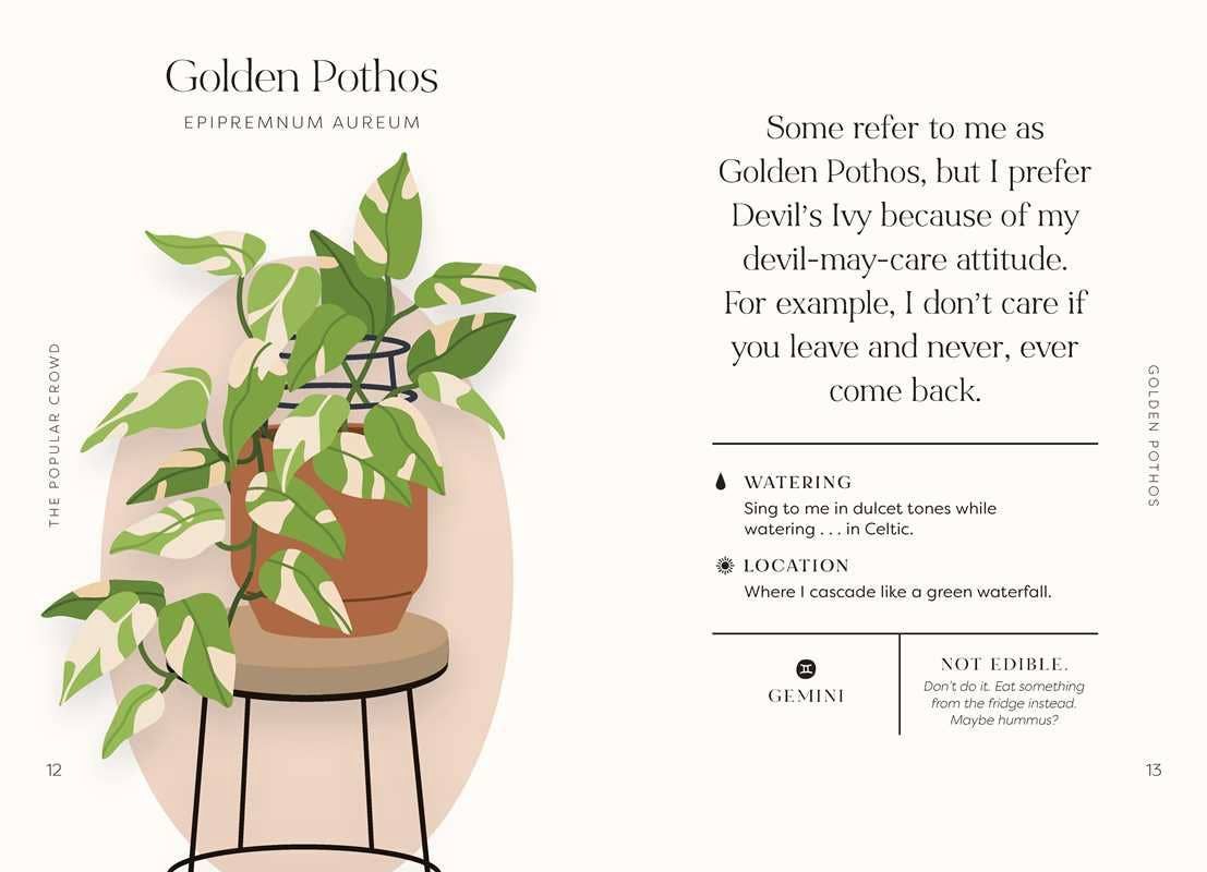 Houseplants and Their Fucked-Up Thoughts by Carlyle Christoff: Hardcover; 96 pages / English(1)