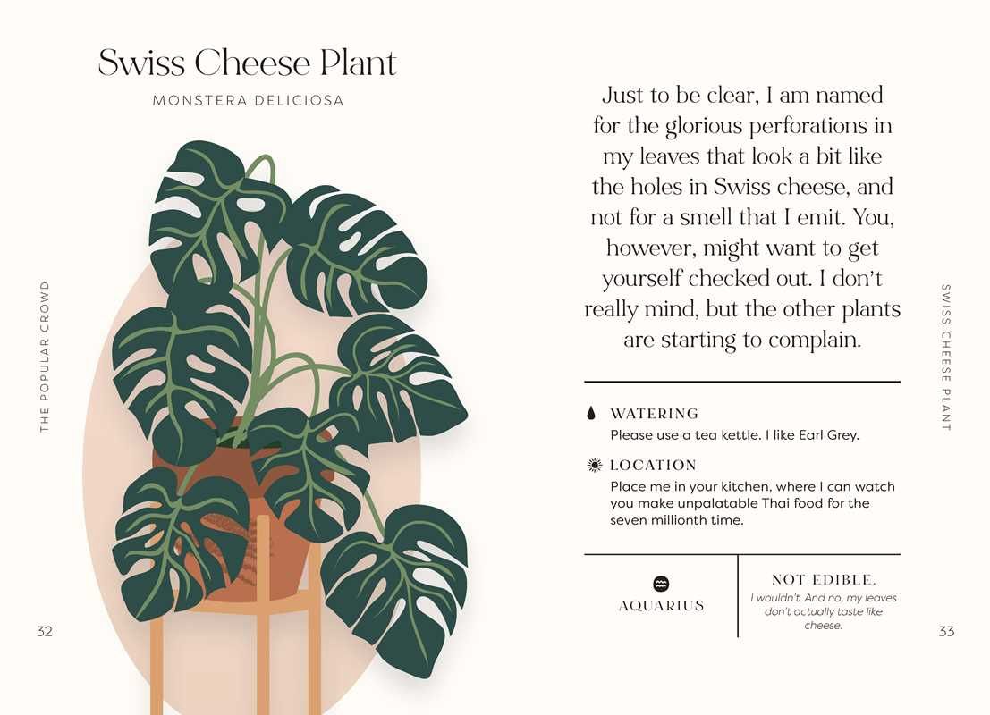 Houseplants and Their Fucked-Up Thoughts by Carlyle Christoff: Hardcover; 96 pages / English(1)
