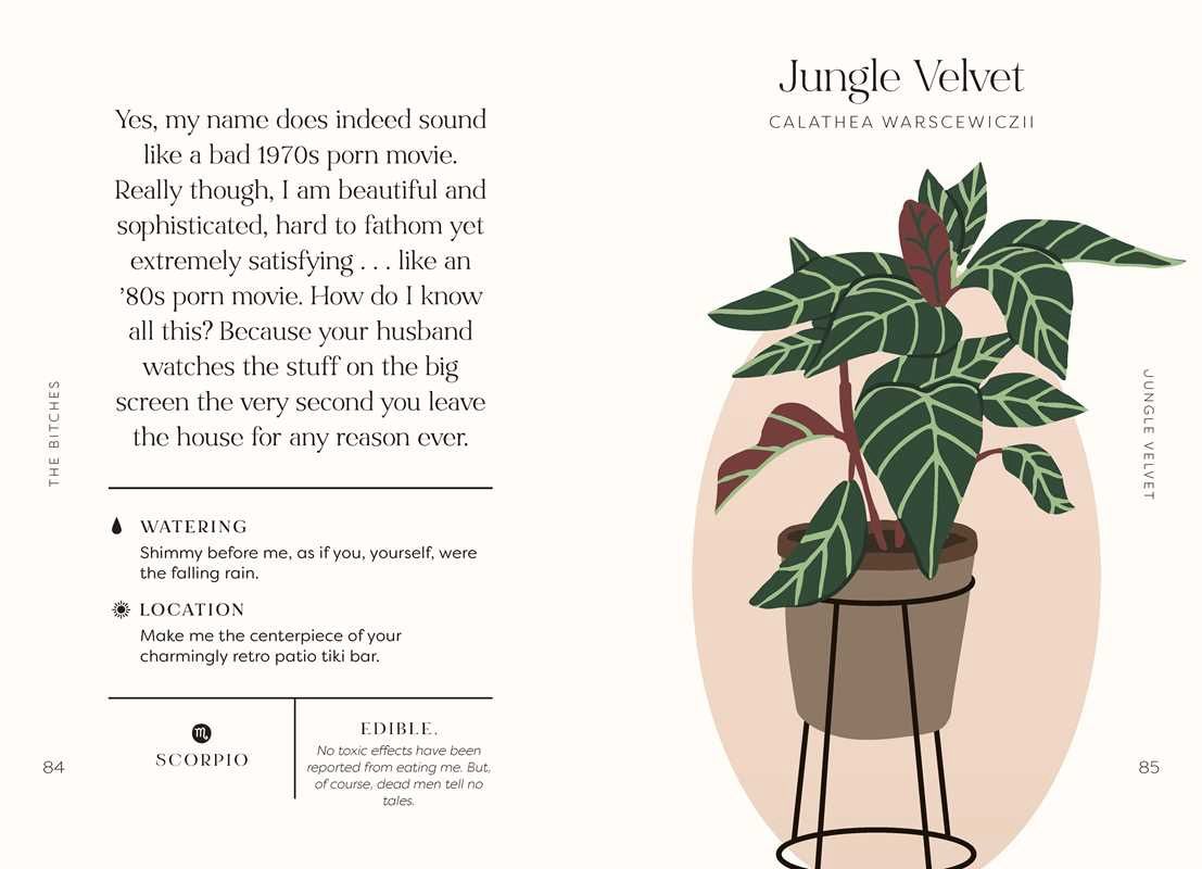 Houseplants and Their Fucked-Up Thoughts by Carlyle Christoff: Hardcover; 96 pages / English(1)