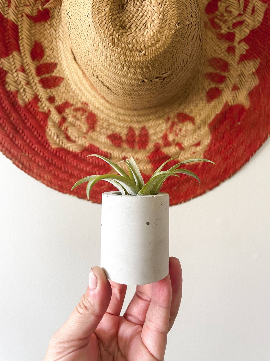 Solid Cement Air Plant Holder: Marigold