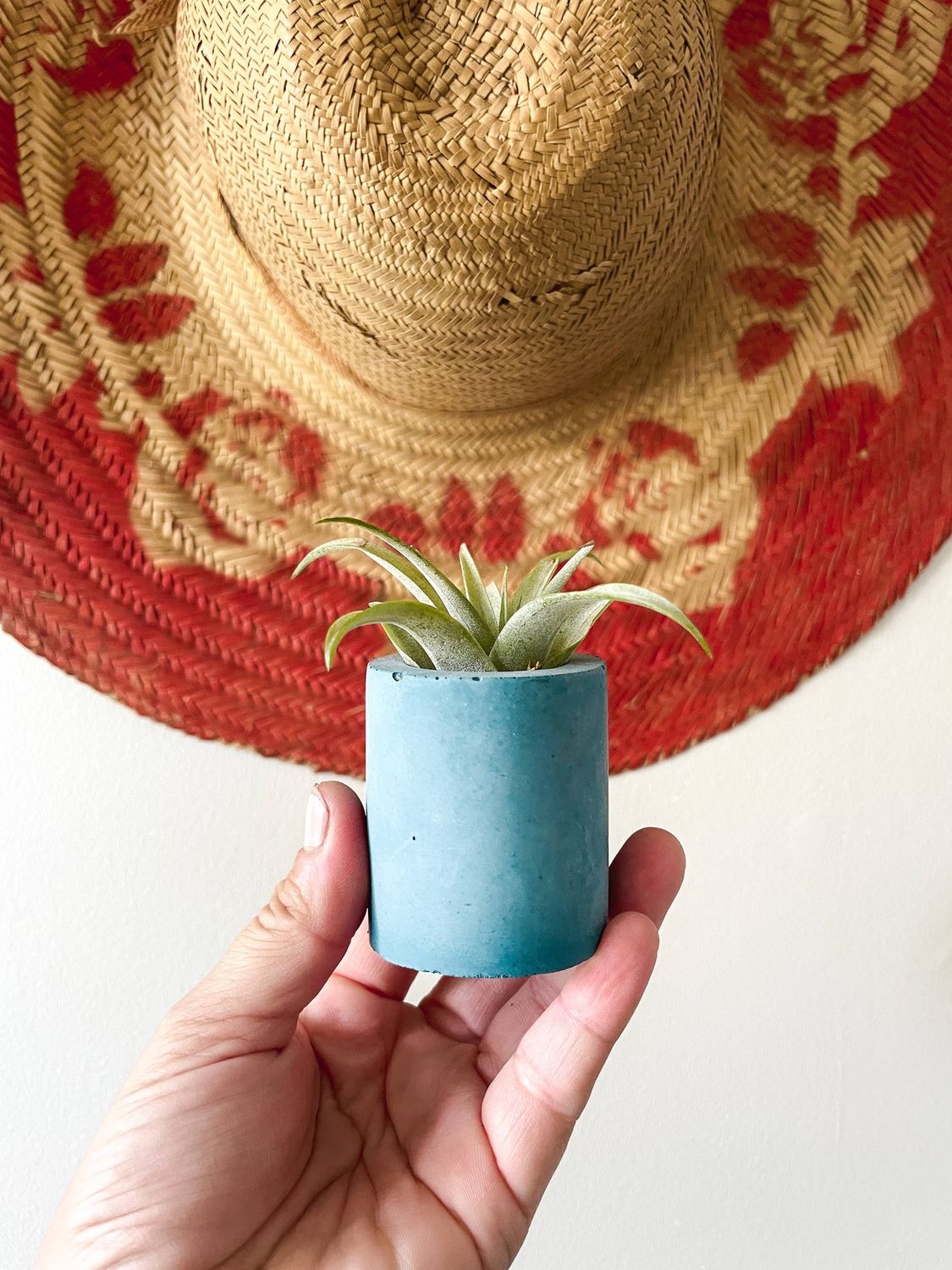 Solid Cement Air Plant Holder: Marigold