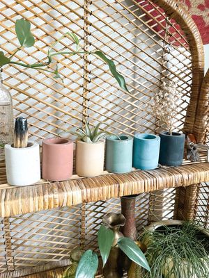 Solid Cement Air Plant Holder: Marigold