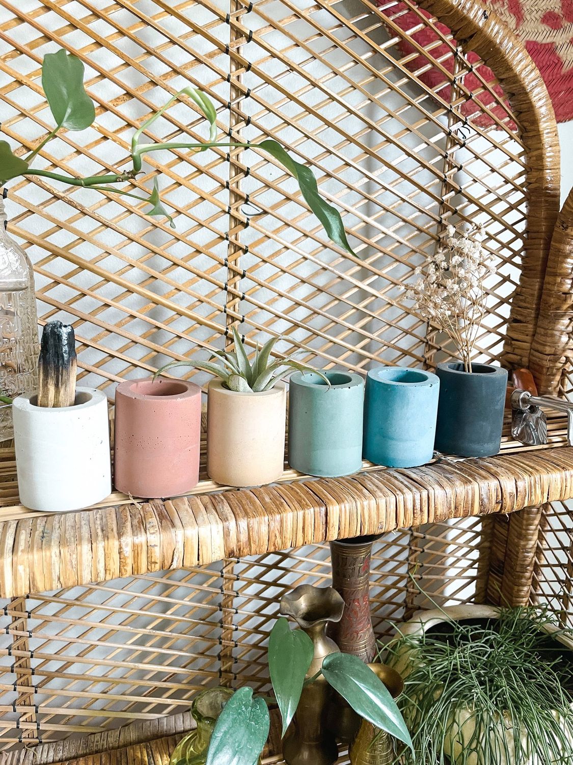 Solid Cement Air Plant Holder: Marigold