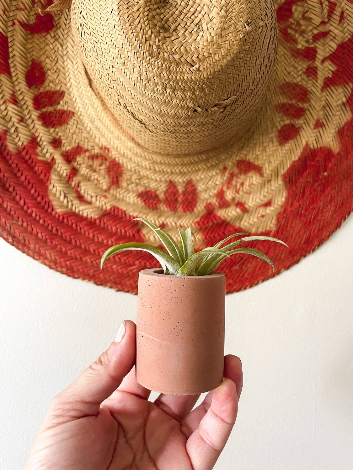 Solid Cement Air Plant Holder: Marigold
