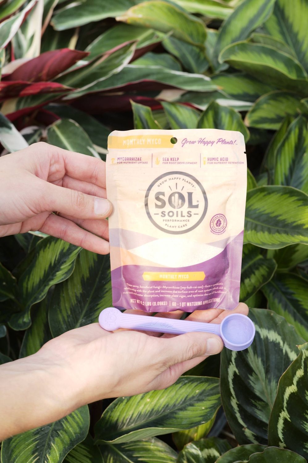 Sol Biotics - Monthly Myco - Mycorrhizal Fungi Inoculant