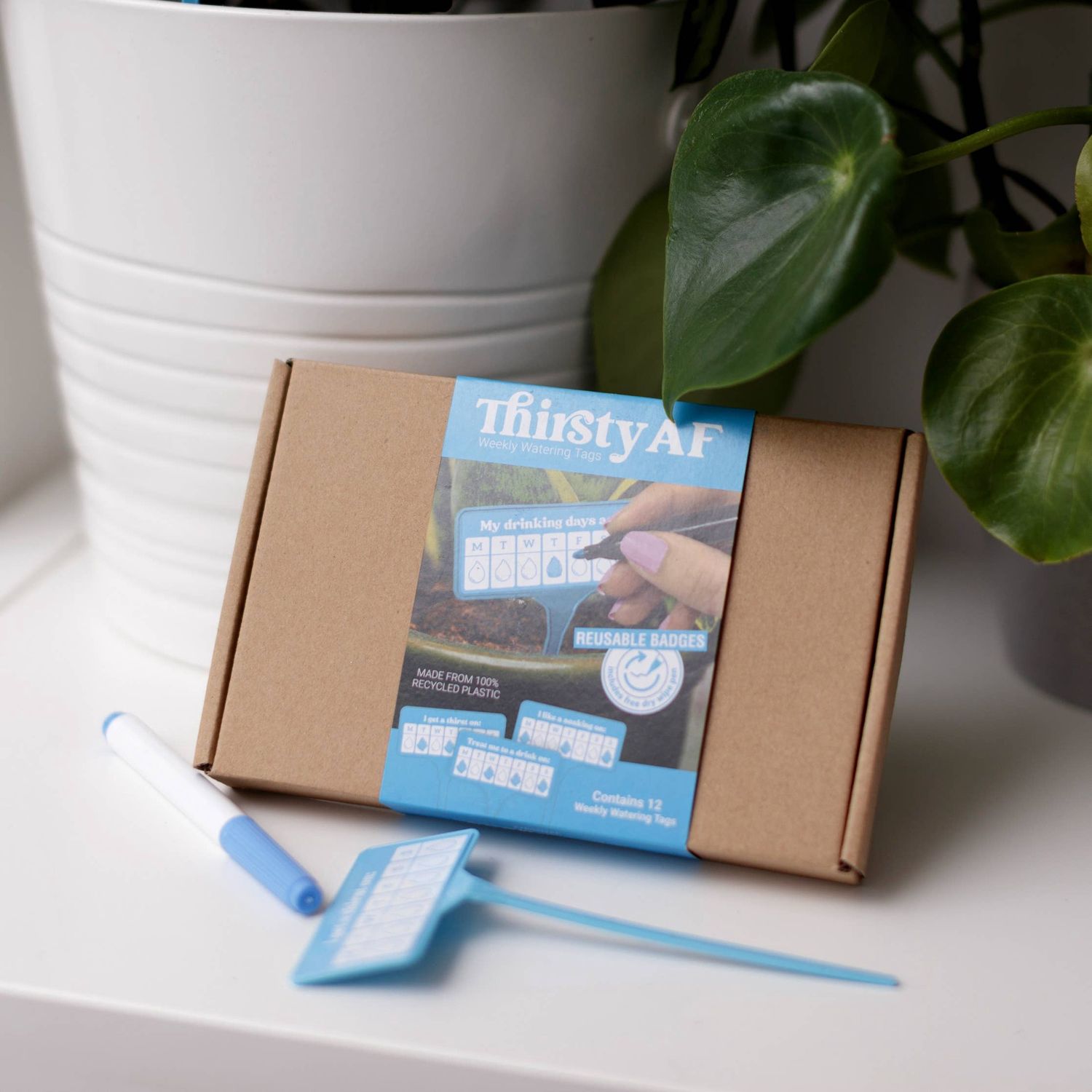 Thirsty AF | Plant Watering Guides | Secret Santa Gift