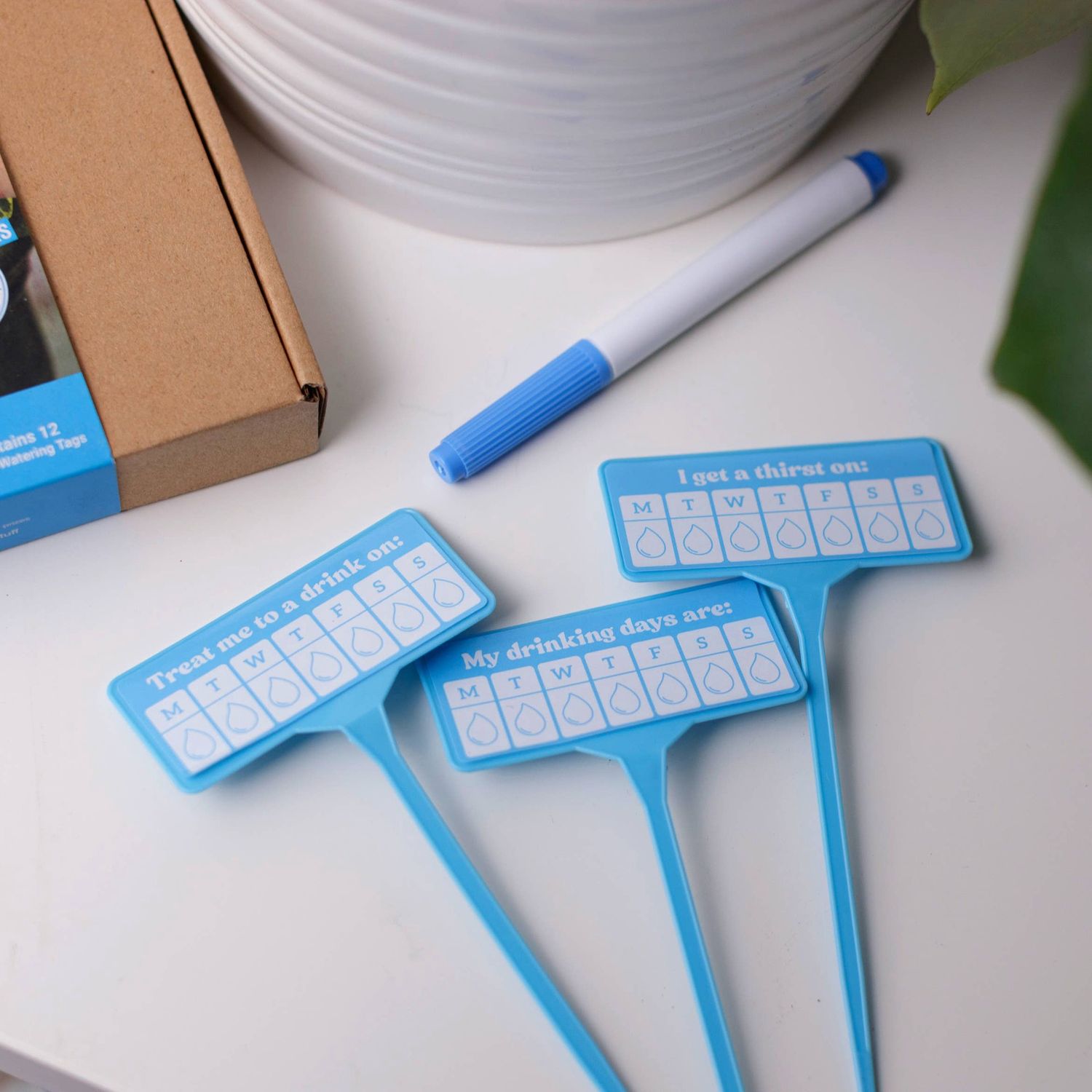 Thirsty AF | Plant Watering Guides | Secret Santa Gift