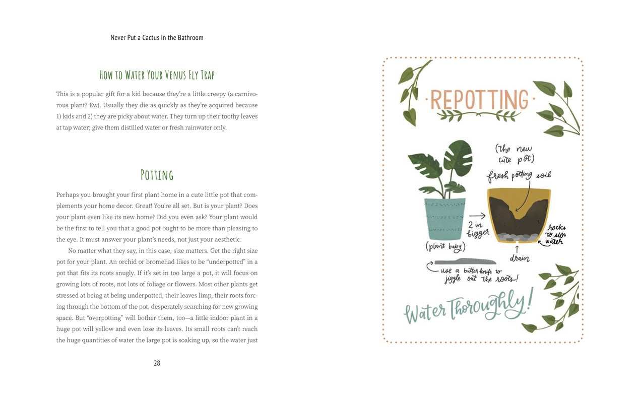 Never Put a Cactus in the Bathroom by Emily L. Hay Hinsdale