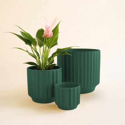 Monroe Planter | Rainforest: 4.5 inch