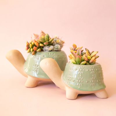 Turtle Planter | Lagoon: M