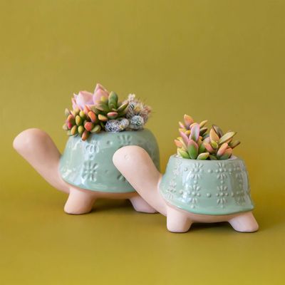 Turtle Planter | Lagoon: M