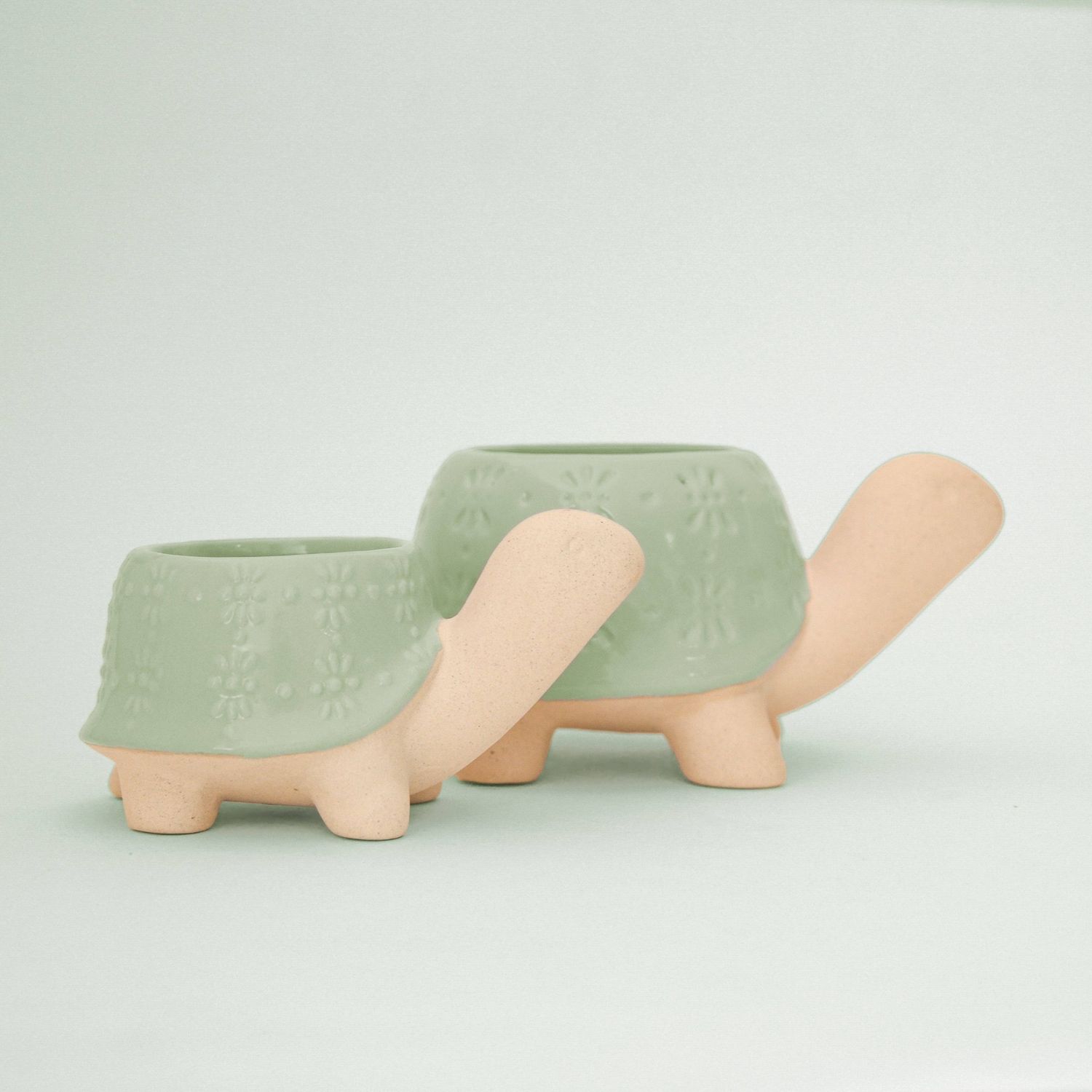Turtle Planter | Lagoon: M