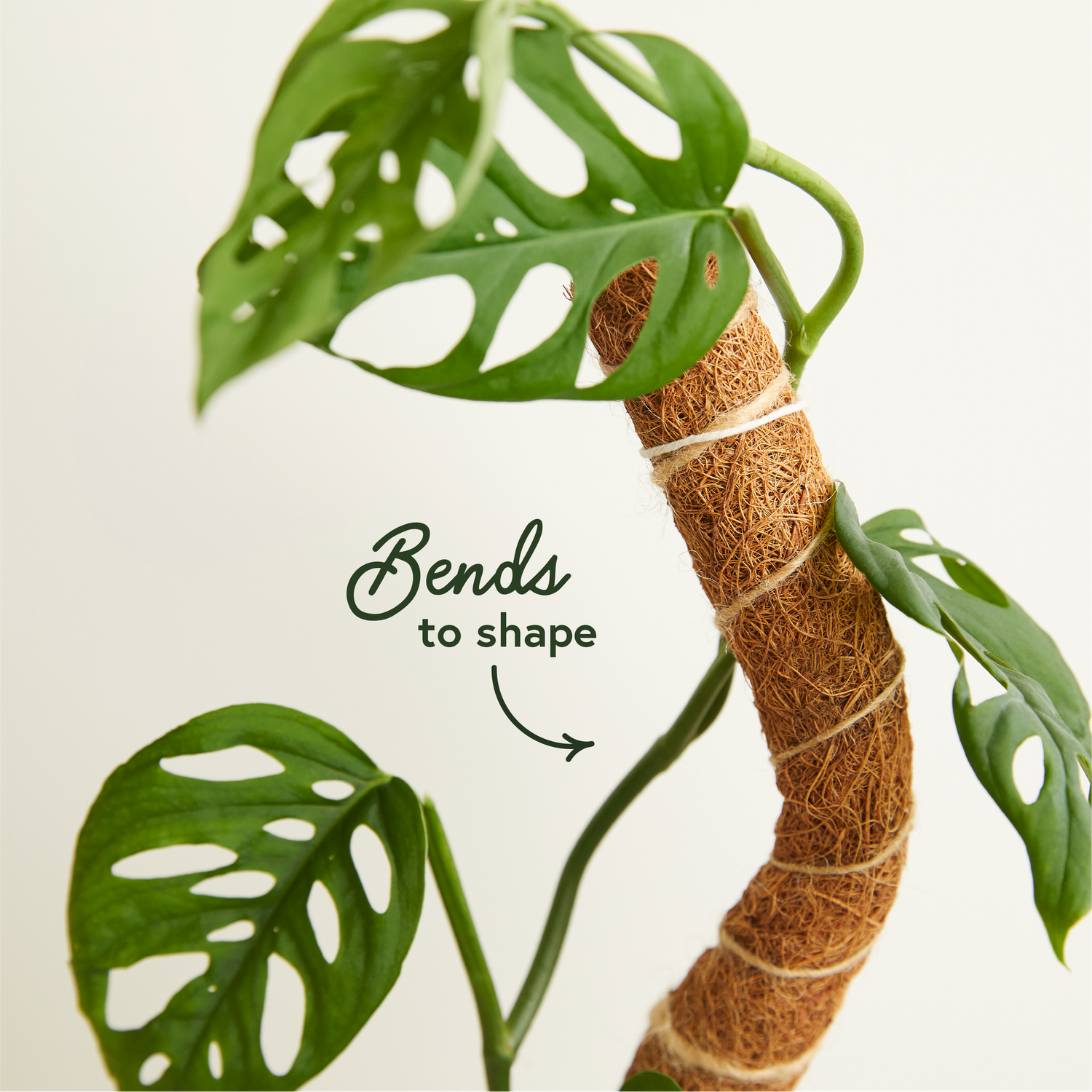 Coconut Coir Bendable Grow Pole 16"