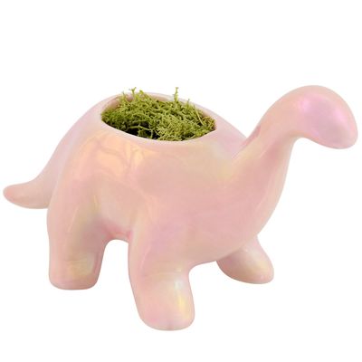Brontosaurus Planter