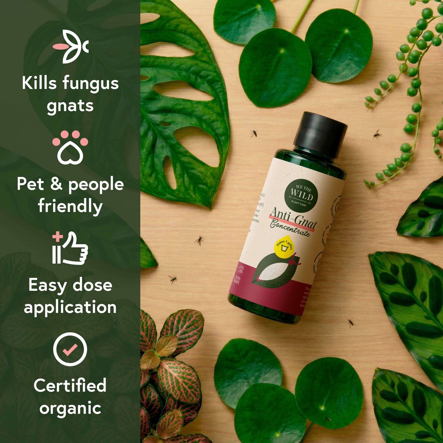 Pest &amp; Shine Kit