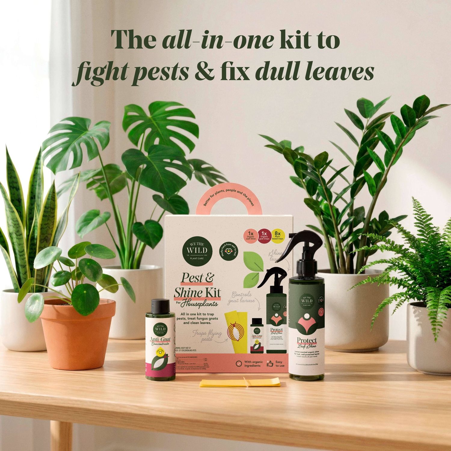 Pest &amp; Shine Kit