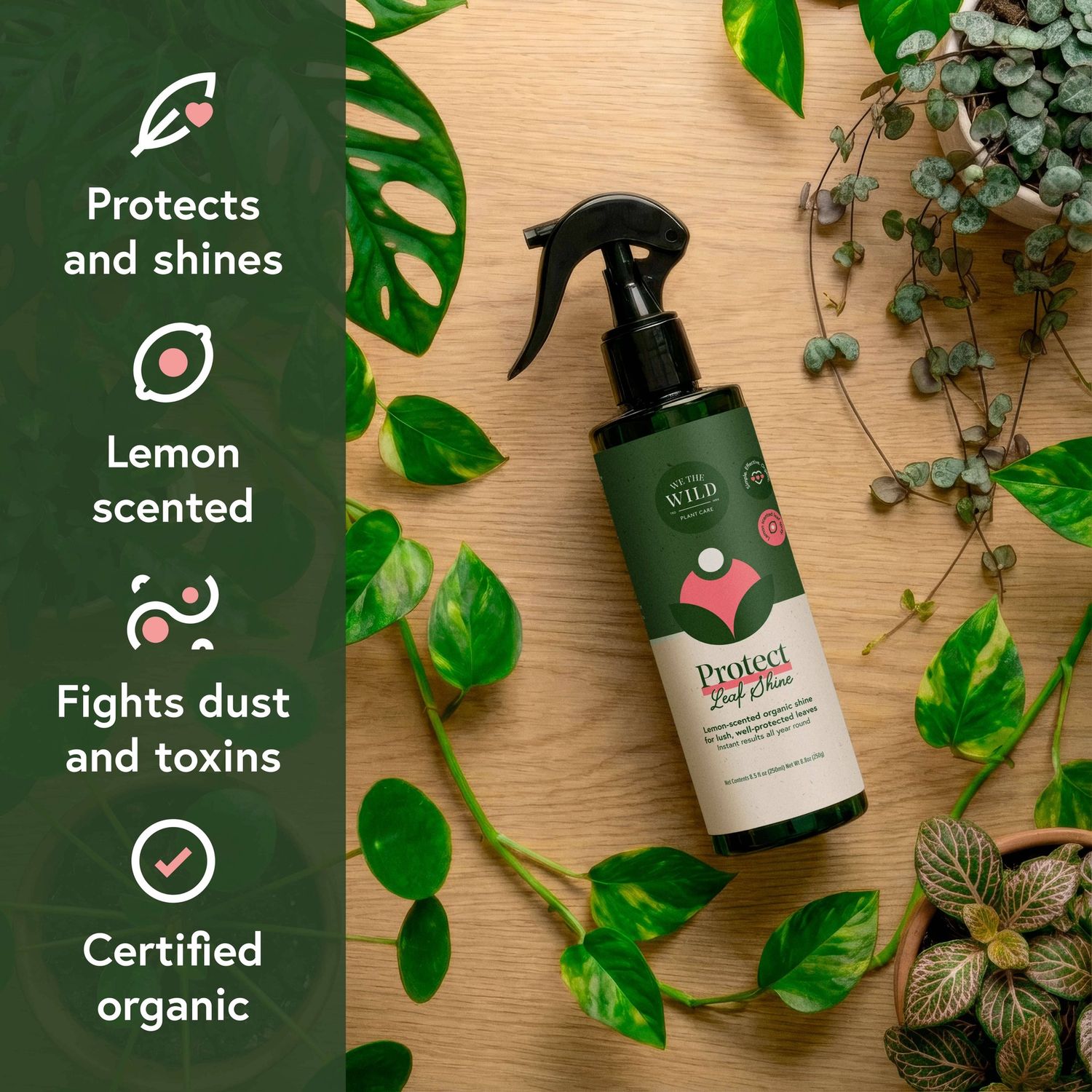 Pest &amp; Shine Kit