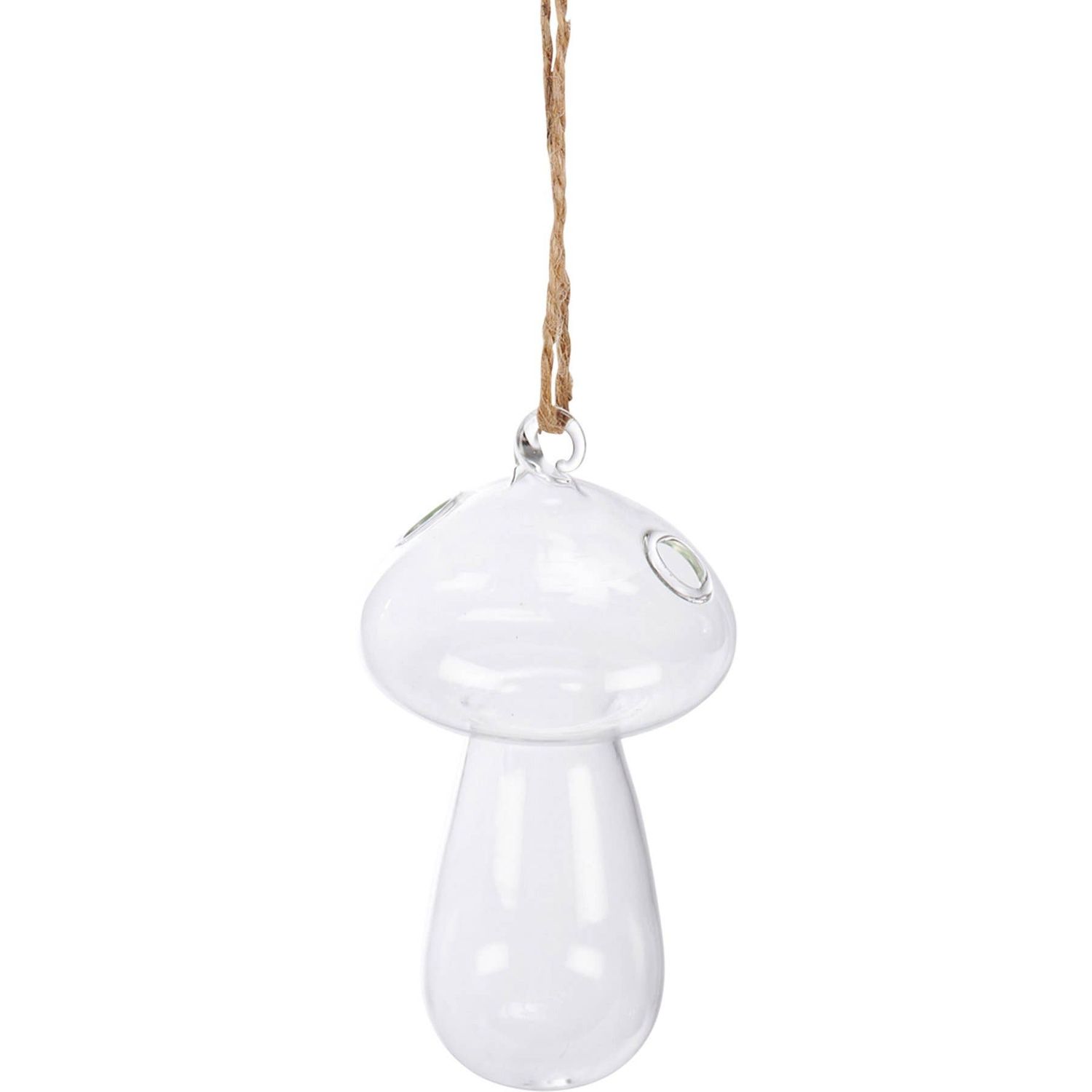 Hanging Mushroom Vase