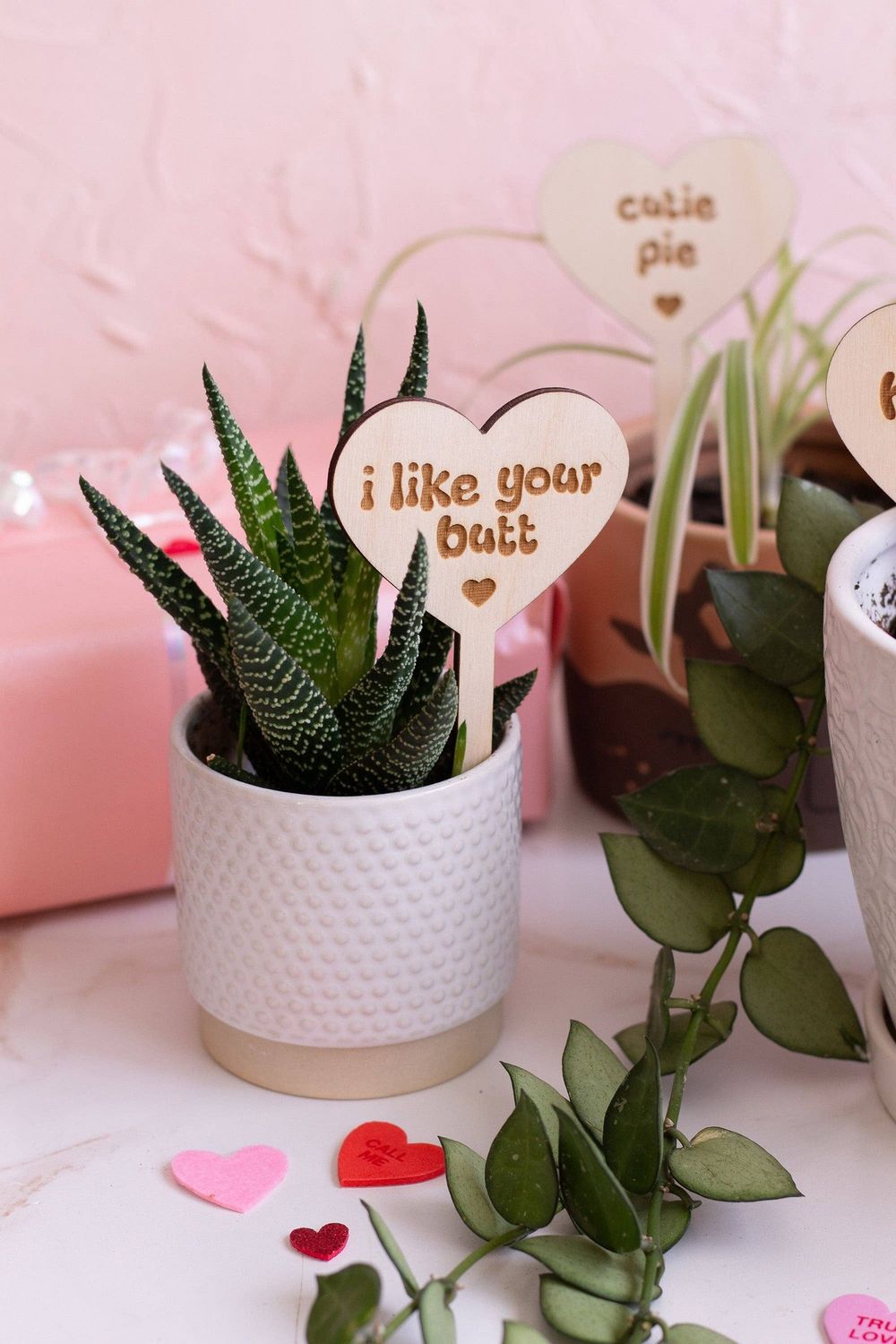 Conversation Heart Wooden Plant Markers: Love grows here