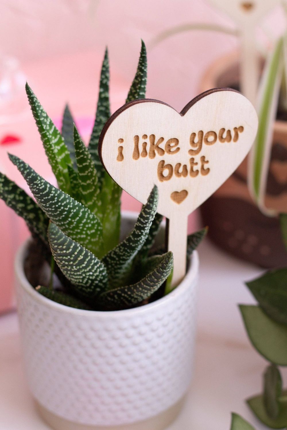 Conversation Heart Wooden Plant Markers: Love grows here