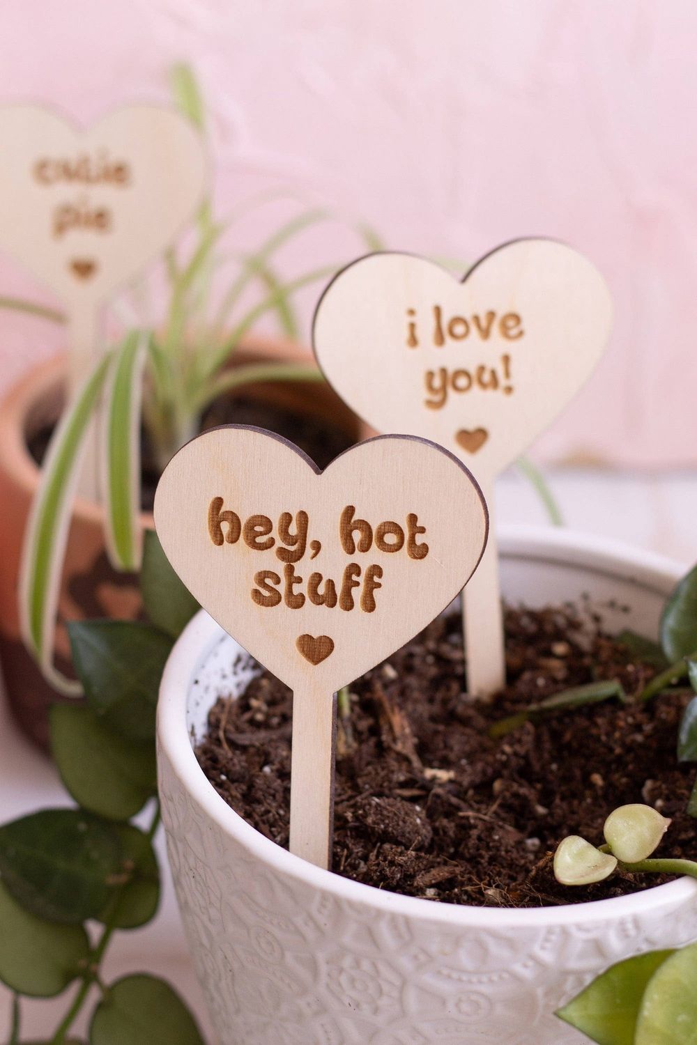 Conversation Heart Wooden Plant Markers: To the best Mom