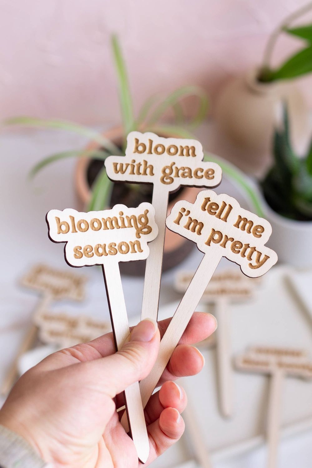 Funny Spring Wooden Plant Markers: Happy Mother's Day!